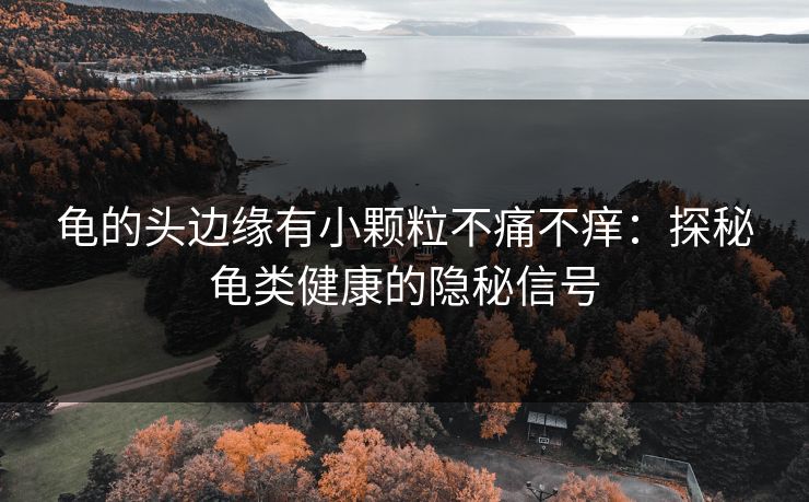 龟的头边缘有小颗粒不痛不痒：探秘龟类健康的隐秘信号
