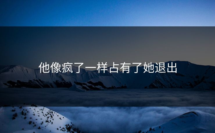 他像疯了一样占有了她退出