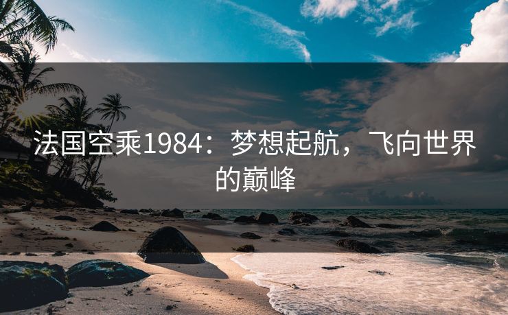 法国空乘1984：梦想起航，飞向世界的巅峰