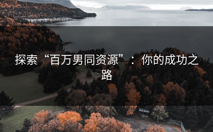 探索“百万男同资源”：你的成功之路
