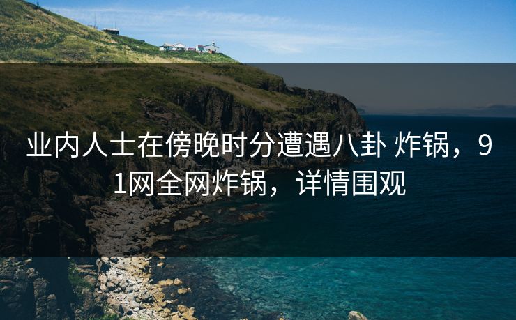 业内人士在傍晚时分遭遇八卦 炸锅，91网全网炸锅，详情围观