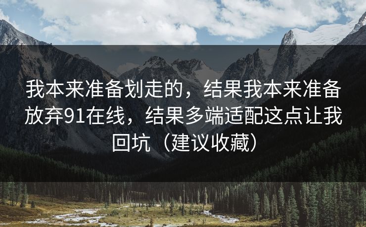 我本来准备划走的，结果我本来准备放弃91在线，结果多端适配这点让我回坑（建议收藏）