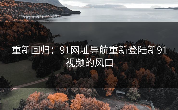 重新回归：91网址导航重新登陆新91视频的风口